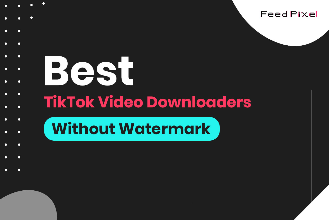 5 Best TikTok Video Downloaders Without Watermark