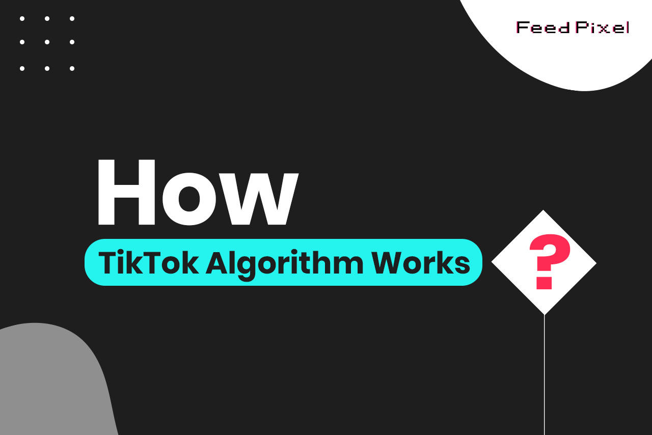 How Does TikTok Algorithm Work? Detailed Explanation